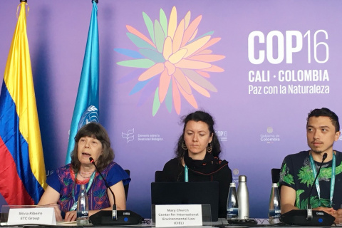 Image of panel of speakers at COP16