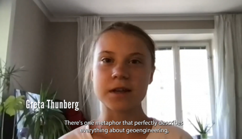 Screenshot of activist Greta Thunberg at home on a zoom webinar