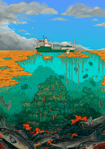 Seafields report cover art showing industrial seaweed farming