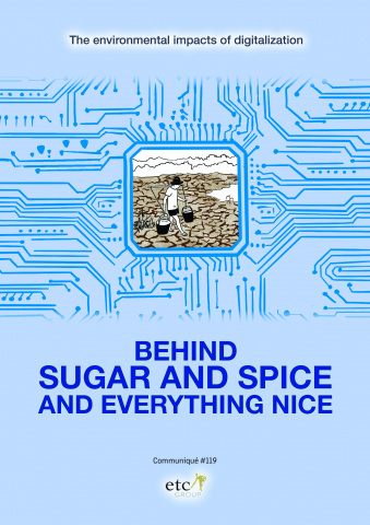 Report cover for Behind Sugar and Spice report