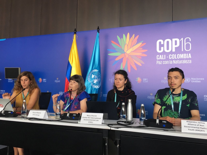 HOME alliance press conference on geoengineering at COP 16, Cali