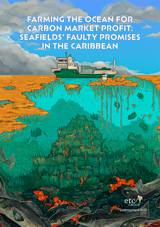 Seafields' faulty promises in the Caribbean report Report cover art showing a ship at sea and industrial seaweed farming