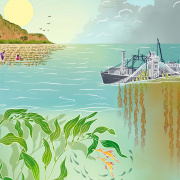 Artist's illustration of industrial seaweed production